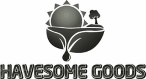 HAVESOME GOODS Logo (USPTO, 04.01.2016)