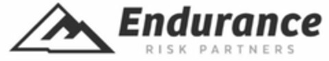 ENDURANCE RISK PARTNERS Logo (USPTO, 04.02.2016)