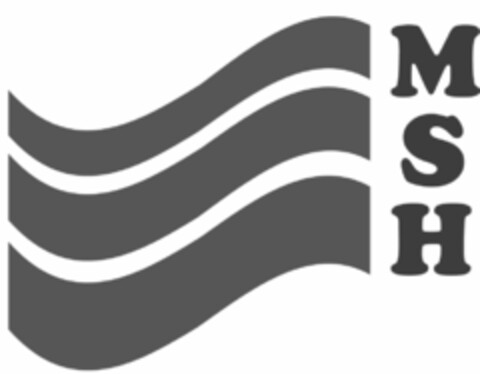 MSH Logo (USPTO, 24.03.2017)