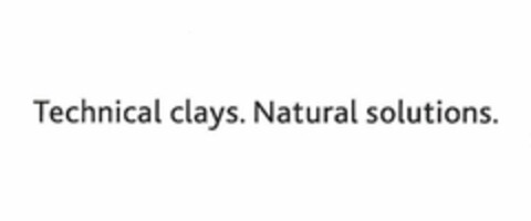 TECHNICAL CLAYS. NATURAL SOLUTIONS. Logo (USPTO, 11.09.2009)