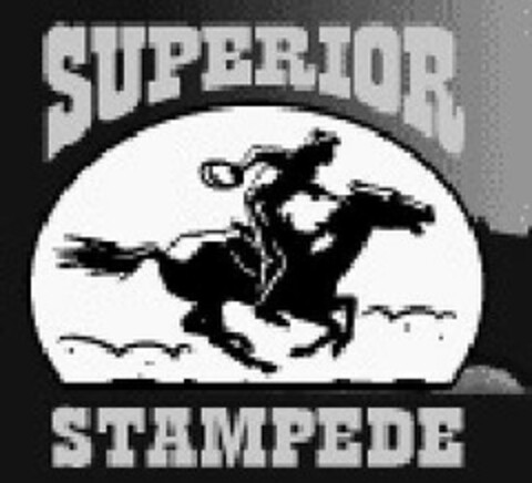 SUPERIOR STAMPEDE Logo (USPTO, 31.08.2010)