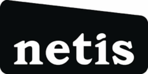NETIS Logo (USPTO, 20.05.2013)