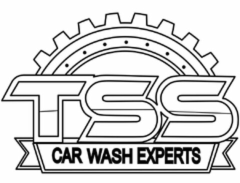 TSS CAR WASH EXPERTS Logo (USPTO, 13.11.2018)