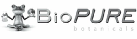 BIOPURE BOTANICALS Logo (USPTO, 11.02.2019)