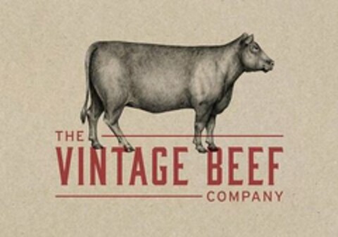 THE VINTAGE BEEF COMPANY Logo (USPTO, 19.03.2019)