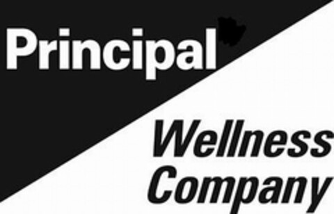 PRINCIPAL WELLNESS COMPANY Logo (USPTO, 23.08.2010)
