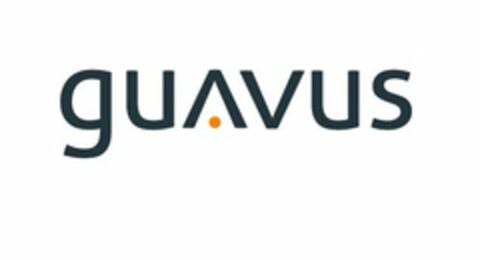 GUAVUS Logo (USPTO, 05.02.2013)