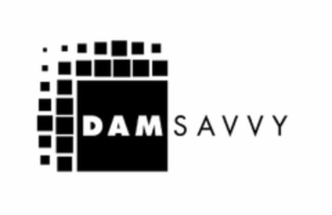 DAM SAVVY Logo (USPTO, 03/19/2015)