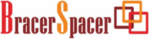 BRACERSPACER Logo (USPTO, 03/19/2017)