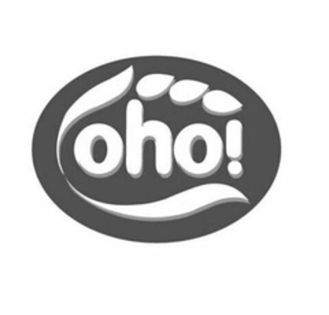 OHO Logo (USPTO, 31.10.2017)