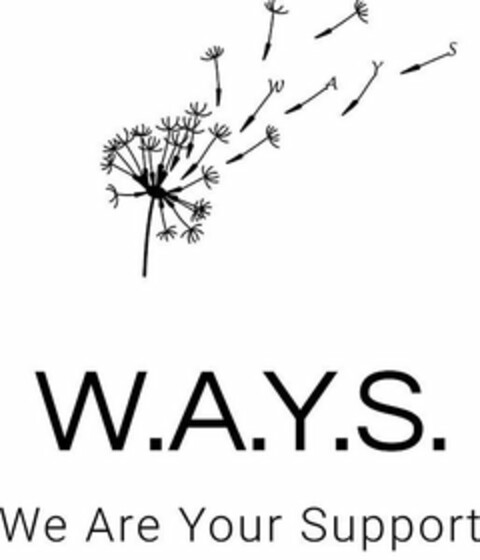 W A Y S W.A.Y.S. WE ARE YOUR SUPPORT Logo (USPTO, 22.01.2019)