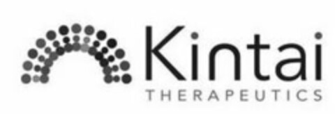 KINTAI THERAPEUTICS Logo (USPTO, 04/19/2019)