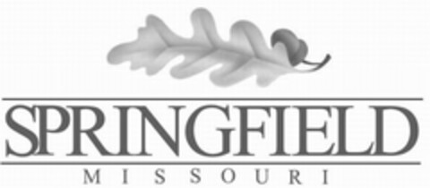 SPRINGFIELD MISSOURI Logo (USPTO, 02/02/2009)