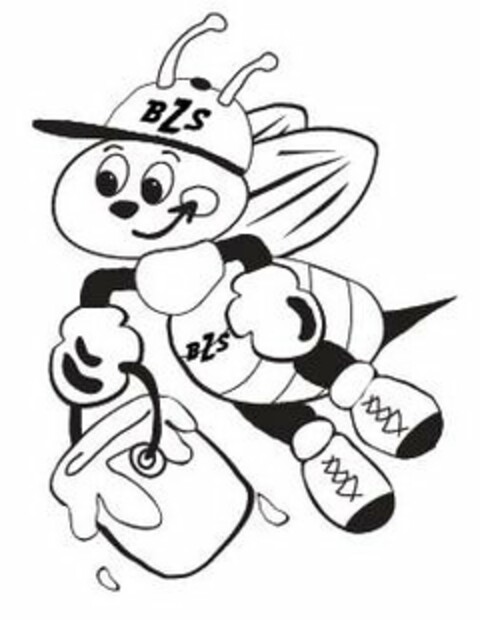 BZS Logo (USPTO, 12/10/2009)