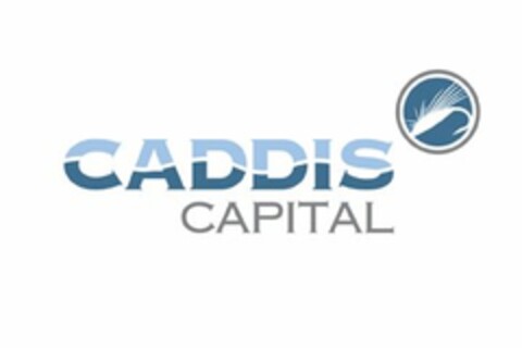 CADDIS CAPITAL Logo (USPTO, 18.03.2010)