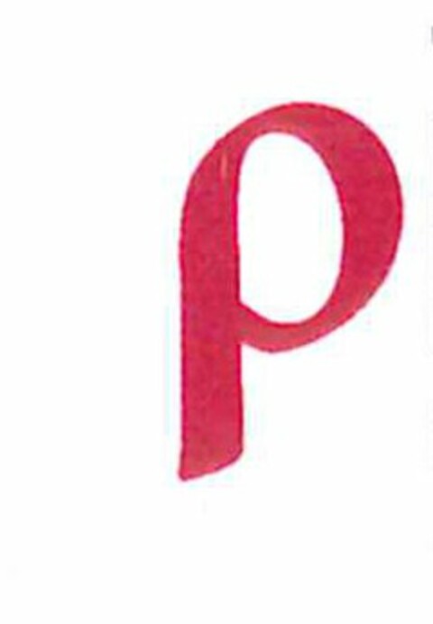 P Logo (USPTO, 25.02.2011)