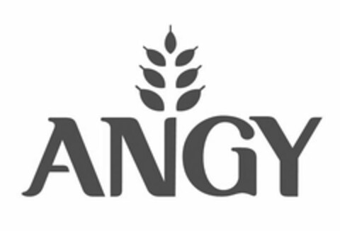 ANGY Logo (USPTO, 13.09.2012)