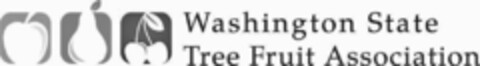 WASHINGTON STATE TREE FRUIT ASSOCIATION Logo (USPTO, 10/20/2015)