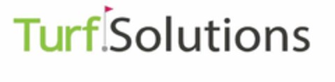 TURF SOLUTIONS Logo (USPTO, 07.12.2015)