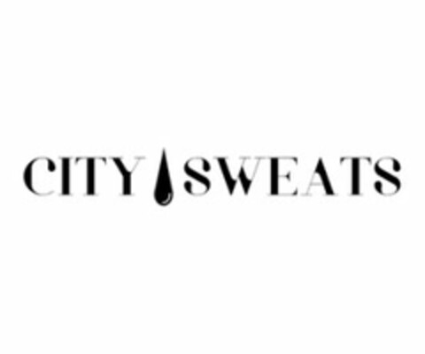 CITY SWEATS Logo (USPTO, 24.01.2017)