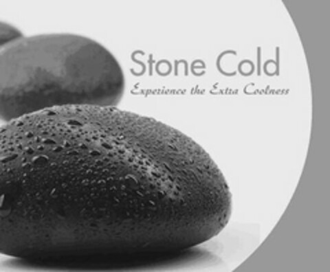 STONE COLD EXPERIENCE THE EXTRA COOLNESS Logo (USPTO, 15.05.2019)