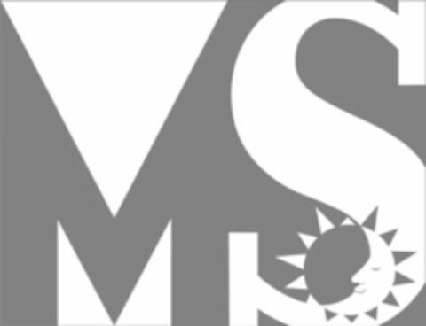 MS Logo (USPTO, 03.06.2020)