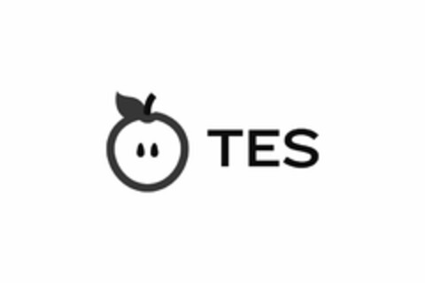 TES Logo (USPTO, 07/02/2012)