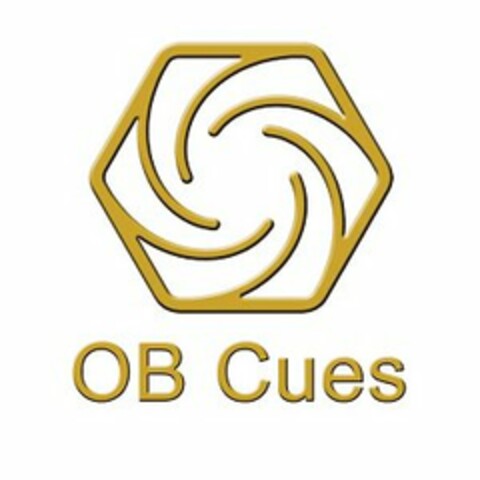 OB CUES Logo (USPTO, 27.03.2013)