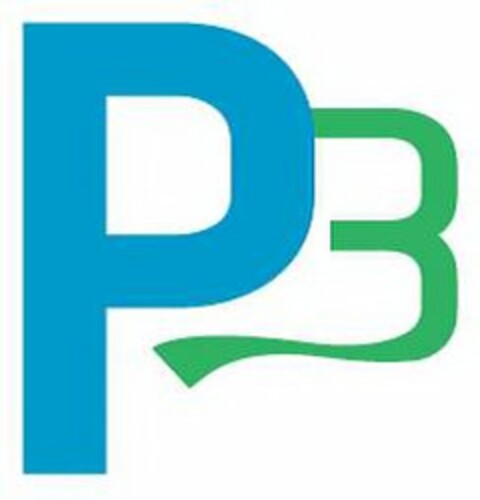 P3 Logo (USPTO, 25.03.2014)