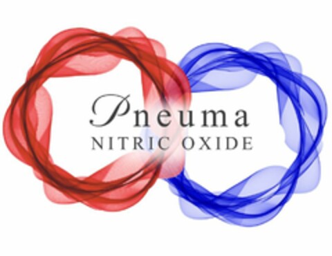 PNEUMA NITRIC OXIDE Logo (USPTO, 26.03.2019)