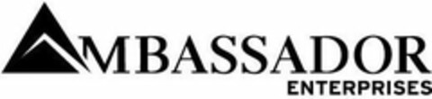 AMBASSADOR ENTERPRISES Logo (USPTO, 10.03.2020)