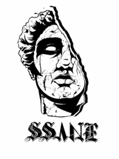 SSANE Logo (USPTO, 07/06/2020)