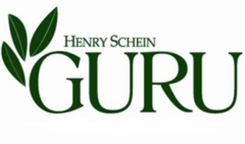 HENRY SCHEIN GURU Logo (USPTO, 01/15/2009)