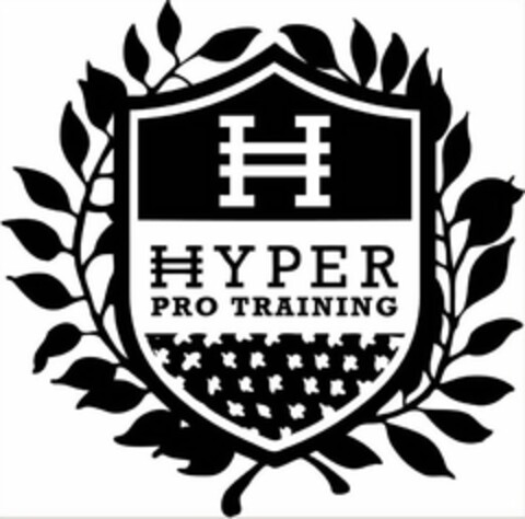 H HYPER PRO TRAINING Logo (USPTO, 05.09.2013)