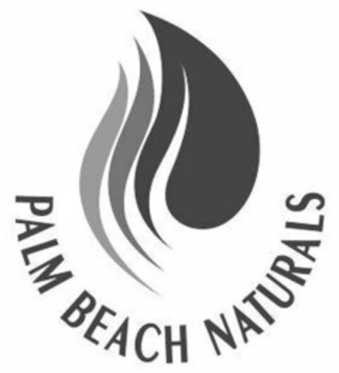PALM BEACH NATURALS Logo (USPTO, 25.02.2018)