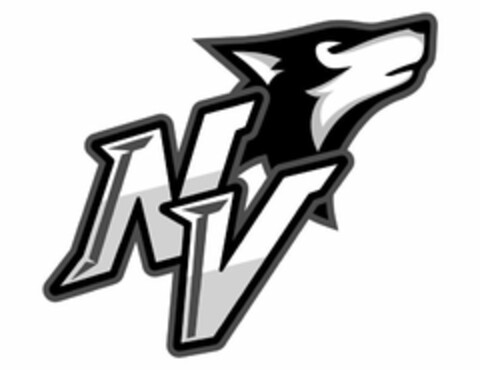N V Logo (USPTO, 15.01.2020)