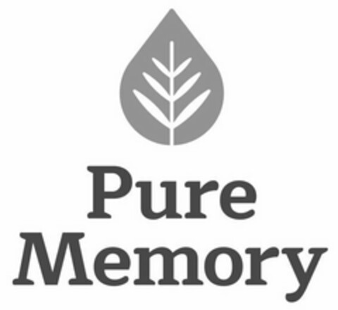 PURE MEMORY Logo (USPTO, 07/09/2020)