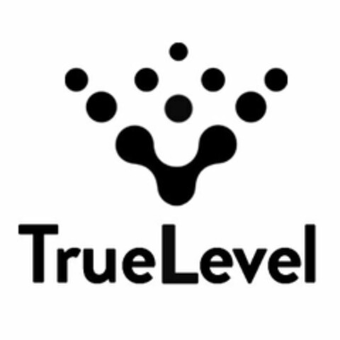 TRUE LEVEL Logo (USPTO, 02/15/2018)