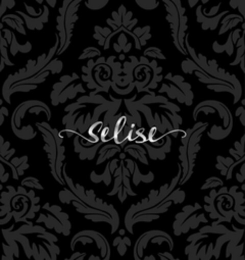 SELISE Logo (USPTO, 02/12/2020)