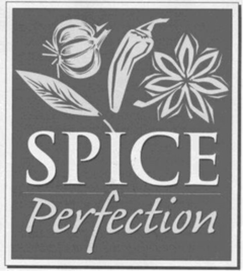 SPICE PERFECTION Logo (USPTO, 13.07.2010)