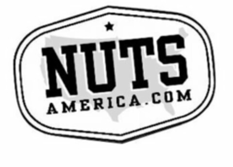 NUTSAMERICA.COM Logo (USPTO, 09/10/2013)