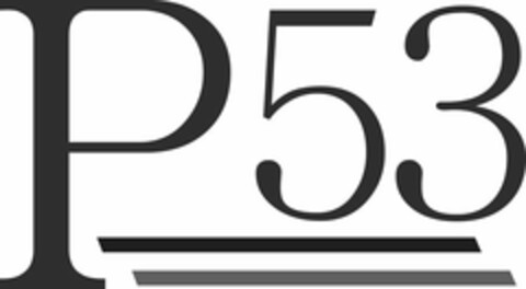 P53 Logo (USPTO, 30.10.2014)