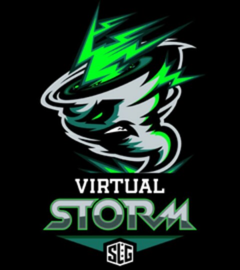 VIRTUAL STORM SLG Logo (USPTO, 06.07.2017)