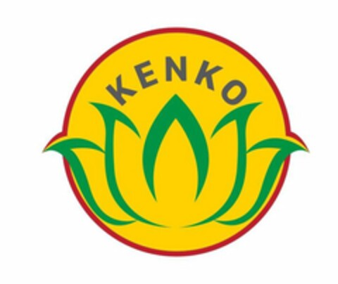 KENKO Logo (USPTO, 06/19/2020)