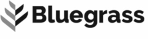 BLUEGRASS Logo (USPTO, 10.07.2020)