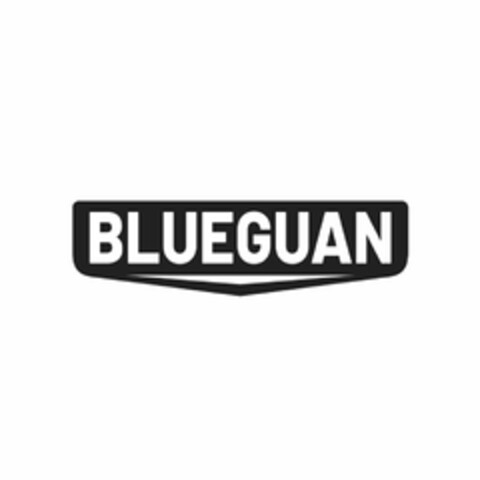 BLUEGUAN Logo (USPTO, 08/08/2020)