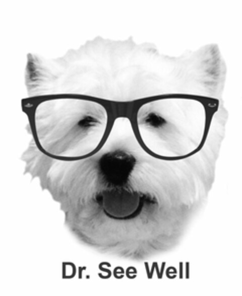 DR. SEE WELL Logo (USPTO, 06/22/2010)