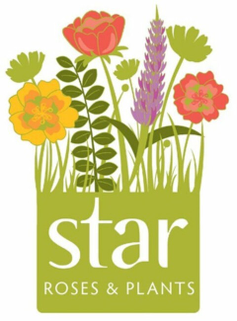 STAR ROSES & PLANTS Logo (USPTO, 13.09.2012)