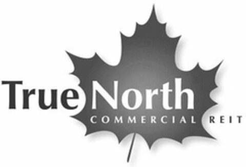 TRUE NORTH COMMERCIAL REIT Logo (USPTO, 10/22/2012)