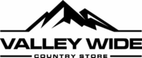 VALLEY WIDE COUNTRY STORE Logo (USPTO, 08/24/2020)